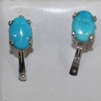 Irani Turquoise Tops