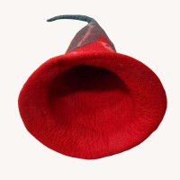 Long Tail Felt Hat