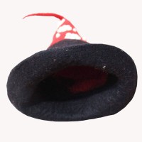 Round Long Tail Felt Hat
