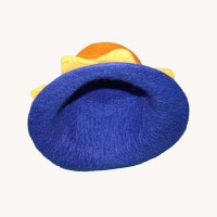Star Felt Hat